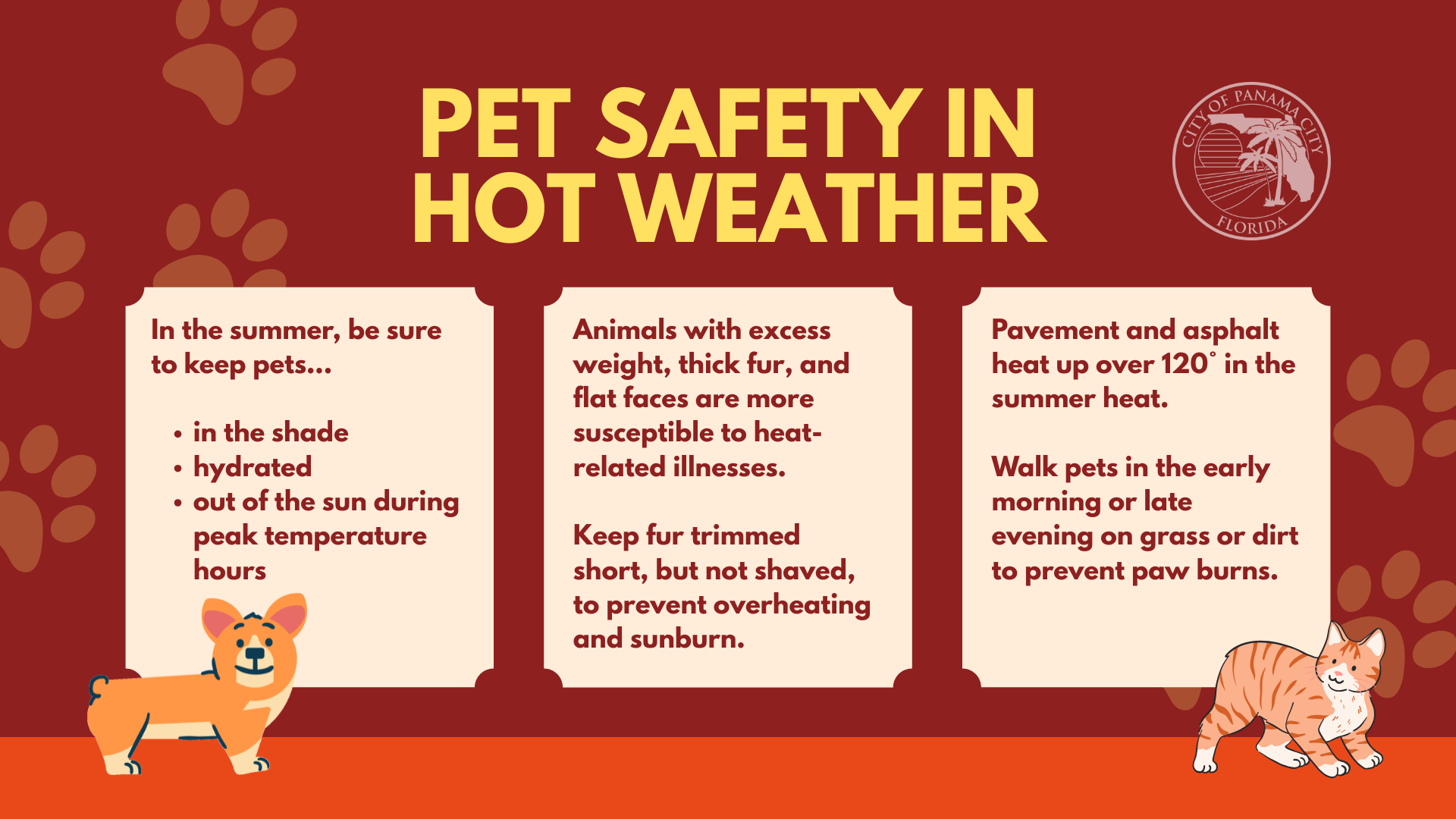 Pet Safety in Hot Weather